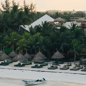 4* Отель Casa Tortugas Petit &